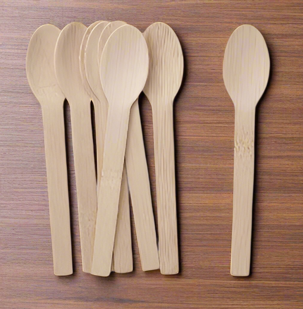 6.7" Disposable Bamboo Spoon - 100 Spoons
