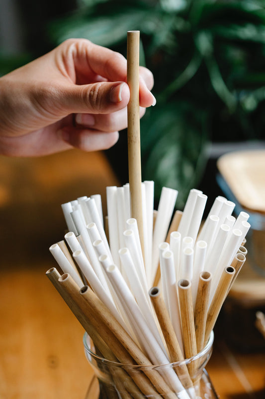 Are Bamboo Disposable Products the Most Eco-Friendly Option?