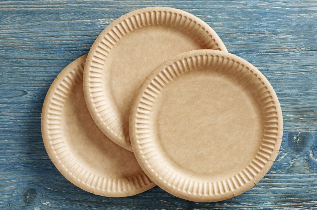 Bulk Bamboo Plates Wholesale Disposable Compostable Solutions EcoEssential Products Eco Essential Products